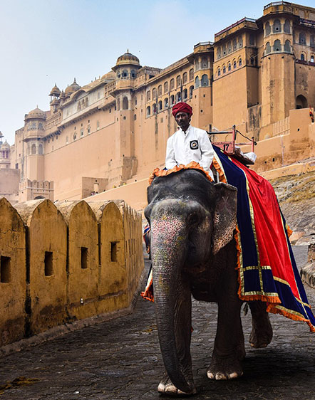 Rajasthan Tour Packages | Private Rajasthan Tours with Car and Driver