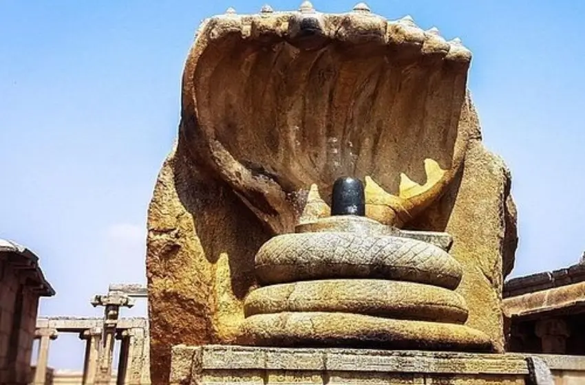 South India Tour Packages | Private South India Tours with Car and Driver