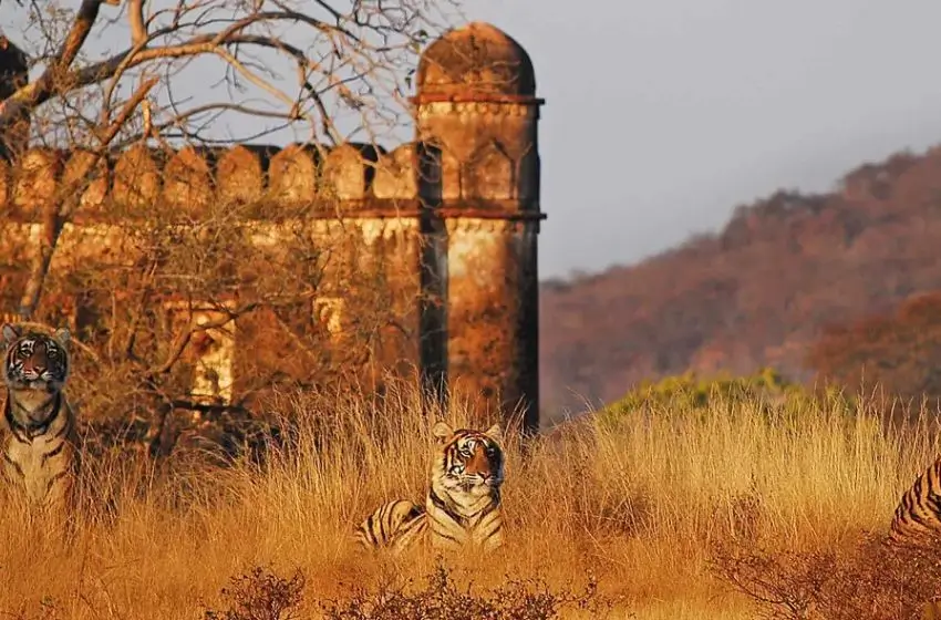 Luxury India Tours | Private Luxury Tours in India with Car and Driver