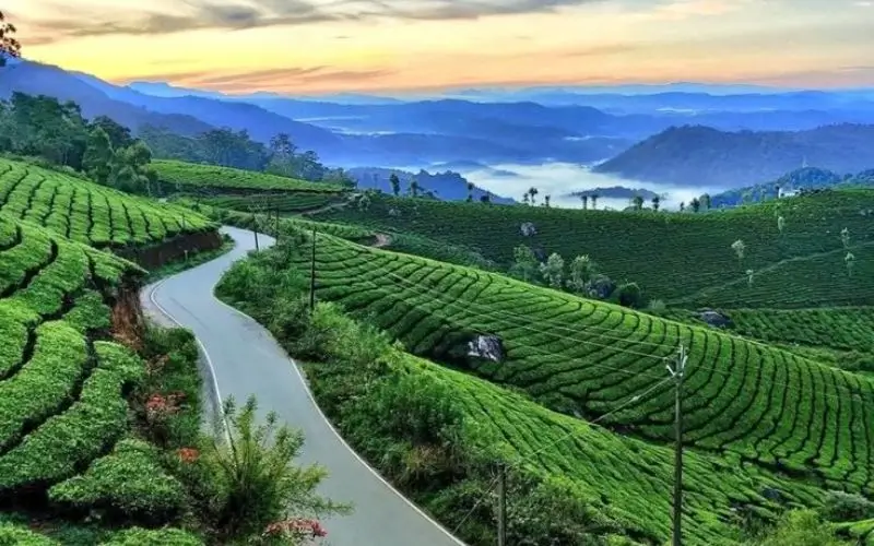 munnar